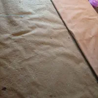 موکت|موکت|گرگان, |دیوار