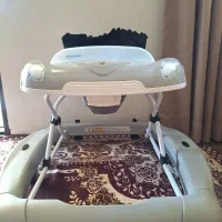 روروئک دلیجان