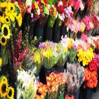 کاردرگل فروشی