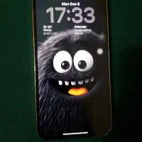 ایفون 12پرو مگس LLA