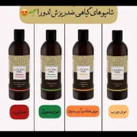 محصولات لدورا با تخفیف 20الی 25درصد|آرایشی، بهداشتی، درمانی|شیراز, مسلم|دیوار