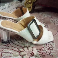 دمپایی مجلسی