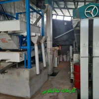 اجارهٔ سورتینگ برنج همراه با کارخانه شالیکوبی سنتی|اجارهٔ دفتر صنعتی، کشاورزی، تجاری|آمل, |دیوار