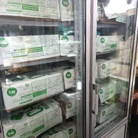 بال و کتف تازه