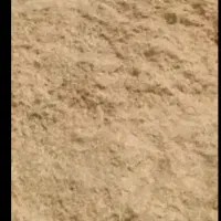 کاه گندم دیم