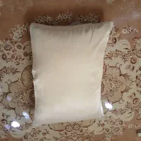 بالش