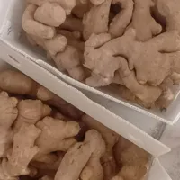زنجبیل تازه با ارسال رایگان