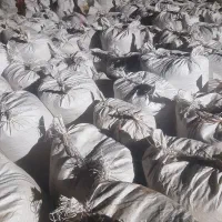 خرید پسته پوک با بالاترین قیمت