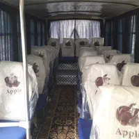 سرویس دربستی مینی بوس