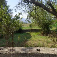 زمین مسکونی کلاچای نوده