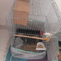 قفس بزرگ|لوازم جانبی حیوانات|تهران, مسعودیه|دیوار