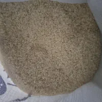 فروش برنج چمپا درجه ۱ دشمن زیار نورآباد