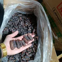 خرمای پیارم