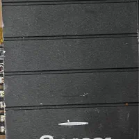 امپلی پایونر