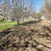 شخم زدن باغ با تیلر دیزلی