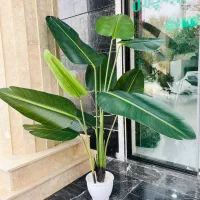 فروش انواع درخچه های مصنوعی، دیوار پوش سبز|گل مصنوعی|شهریار, شهریار|دیوار