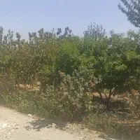 فروش فوری باغچه450متری چهاردیوارچهار باغ عرب اباد|فروش زمین و ملک کلنگی|کرج, عظیمیه|دیوار