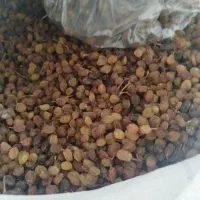 انواع کشمش|خوردنی و آشامیدنی|میاندوآب, |دیوار