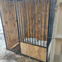 دنیای چوب|خدمات پیشه و مهارت|همدان, |دیوار