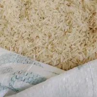 برنج فجر درجه یک