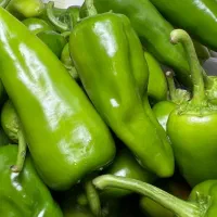 سه نفر خانم یا اقا سالن کار نیازمندیم