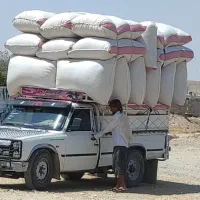 کاه 12500|لوازم جانبی حیوانات|دهدشت, |دیوار