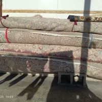 چهار تخته فرش 12متری|فرش|پاپی, |دیوار