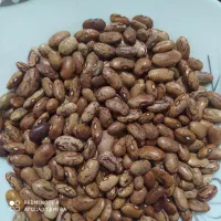 چیتی،عدس،عسل،کره