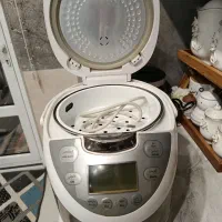 پلوپز چندکاره درحدنو