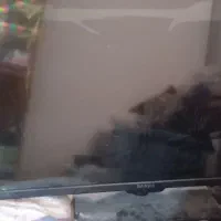 تلوزیون نیازبه تعمیر|تلویزیون و پروژکتور|شاهین‌شهر, شهرک سایت|دیوار