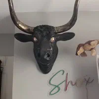 سردیس کله گاو - فایبرگلاس نشکن