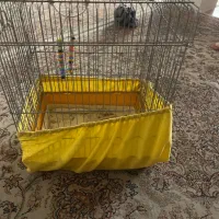 قفس|لوازم جانبی حیوانات|سمنان, |دیوار