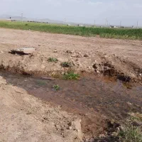 زمین ویلائی800مترباحصارکامل وسند6دانگ بیلوردی