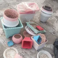 تعدادی گلدان پلاستیکی بدون افتاب سوختگی