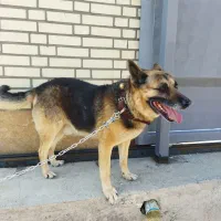 کمک و راهنمایی