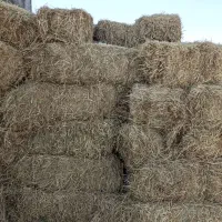 پرس کاه برنج