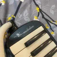 ملودیکا در حد برند سوان|پیانو، کیبورد، آکاردئون|گنبد کاووس, |دیوار