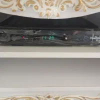 هانی استارx100