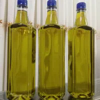 روغن زیتون ماری اصل