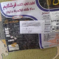 فرش اتاق کودک عروسکی|فرش|قم, دورشهر|دیوار