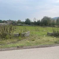 اجاره زمین در شمال جهت پرورش گل و گیاه عباس آباد|اجارهٔ دفتر صنعتی، کشاورزی، تجاری|عباس‌آباد, |دیوار
