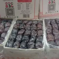 خرمای مضافتی دو ردیف و سه ردیف|خوردنی و آشامیدنی|مهرستان, |دیوار