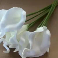 گل مصنوعی و گلدان خورشیدی رقصنده|گل مصنوعی|اسدآباد, |دیوار