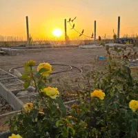 باغ سنددار با اقساط ۱۵ ماهه