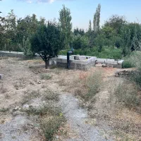 باغ ۱۵۰۰ متر در روستای چناقلو|فروش زمین و ملک کلنگی|نوشین شهر, |دیوار