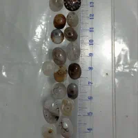 نگین شجر.باباقوری