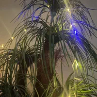 ریسه Led .  مدل Multi Function 9 متری|ریسه و چراغ تزئینی|قم, پردیسان|دیوار