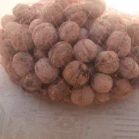 گردو