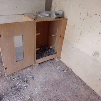 لانه کبوتر یا مرغ|لوازم جانبی حیوانات|شیراز, کیان آباد|دیوار