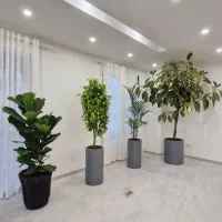 ویزیت تعویض خاک سم پاشی باغچه کاری|خدمات باغبانی و درختکاری|رشت, دیلمان|دیوار